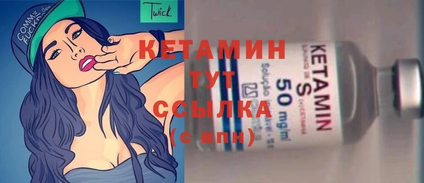 твердый Новозыбков